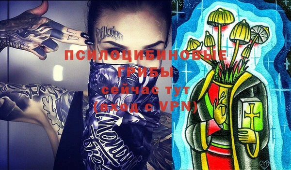не бодяженный Тында