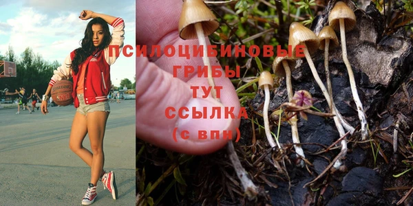 герыч Беломорск