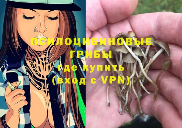 дурь Белокуриха