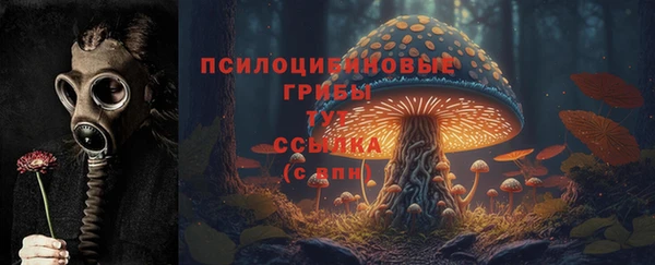 тгк Туринск