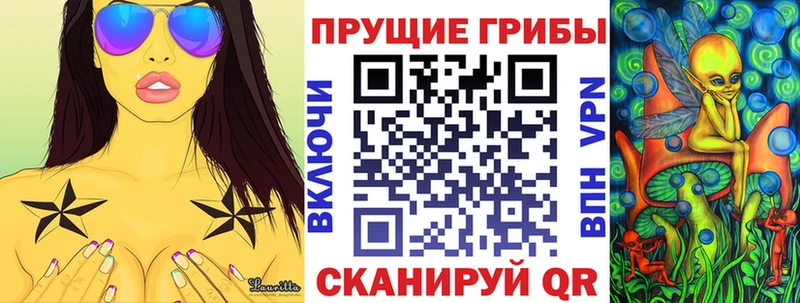 Галлюциногенные грибы Psilocybe  магазин продажи   Курчалой 